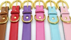 Swaggin Tails koiran kaulapanta, punainen| Kaulapannat