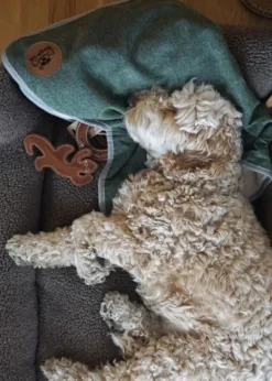 Swaggin Tails koiranpeitto, vaaleanharmaa| Outlet - Koiralle