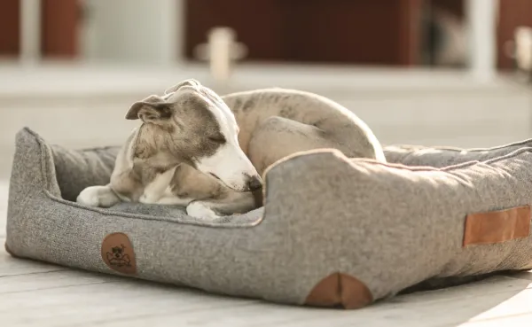 Swaggin Tails Koiranpedit^koiranpeti Memory Foam -vaahdolla S, harmaa