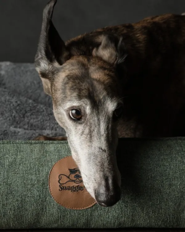 Swaggin Tails Koiranpedit^koiranpeti Memory Foam -vaahdolla L, vihreä