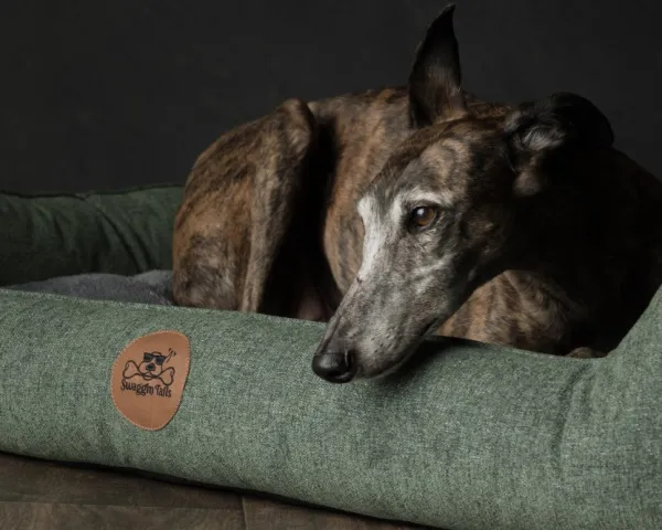 Swaggin Tails koiranpeti Memory Foam -vaahdolla M, harmaa| Koiranpedit