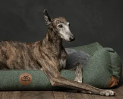 Swaggin Tails koiranpeti Memory Foam -vaahdolla XL| Koiranpedit