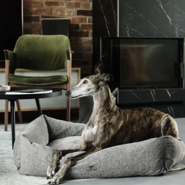 Swaggin Tails Koiranpedit^Mysig koiran peti, M, tummanvihreä