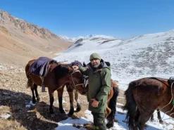 Swazi Wapiti XP takki, Tussock Green| Metsästystakit/Vedenpitävät Metsästystakit