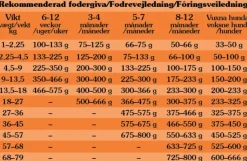 Taste of the Wild High Prairie Puppy Bison koiranruoka pennuille 12,2 kg| Koiran Kuivaruoka