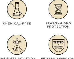 Tickless MINI DOG| Punkit Ja Ulkoloiset