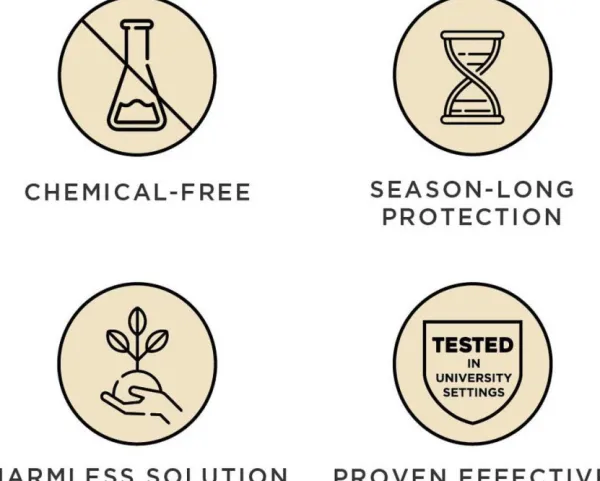 Tickless MINI DOG| Punkit Ja Ulkoloiset