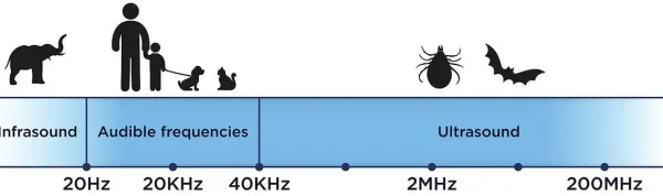 Tickless MINI DOG| Punkit Ja Ulkoloiset