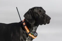 Tracker Koiratutkat^Artemis EASY -koiratutka