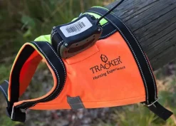 Tracker Koiratutkat^/Pointer koiravaljas