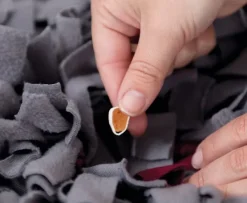 Trixie Aktivointilelut^Activity Sniffing Carpet -aktivointilelu 50 x 34 cm