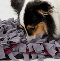 Trixie Aktivointilelut^Activity Sniffing Carpet -aktivointilelu 50 x 34 cm