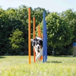 Trixie Agility harjoituskepit 115cm, 12 kpl| Agility