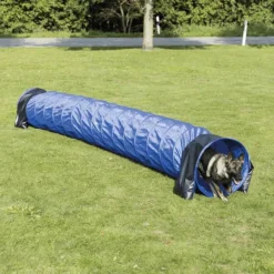 Trixie Agility -putki, 5 m| Agility