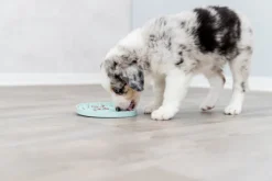 Trixie aktivointilelu, 15 cm| Aktivointilelut