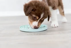 Trixie aktivointilelu, 15 cm| Aktivointilelut