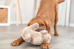 Trixie Pehmeät Lelut^Be Eco Koala kierrätetystä polyesteristä Plysch 25 cm