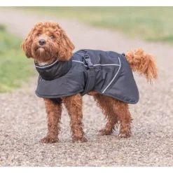 Trixie Talvitakit^Brizon Winter Coat koiran talvitakki, 40-50 cm, Black