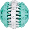 Trixie Denta Fun Boll koiranlelu, Ø 7 cm| Hampaidenhoito