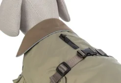 Trixie Talvitakit^Hermy 2 in 1 Dachshund koiran takki, 33-38 cm, Olive Green