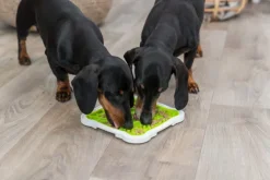 Trixie Lick'N'Snack Lautanen| Koiranomistajan Tarvikkeet