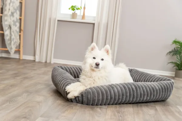 Trixie Koiranpedit^Lonni koiranpeti Manchester Plysch 100 x 70 cm harmaa