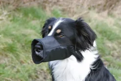 Trixie Kuonokopat^-säädettävä kuonokoppa, XS/S: 16 cm