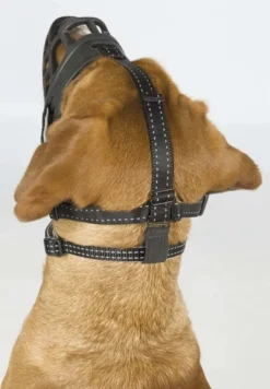 Trixie -silikoninen kuonokoppa M| Kuonokopat