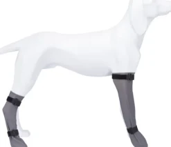 Trixie Koiran Tossut^Skyddssock Silikon L: 10cm/40cm Grå