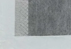 Trixie Koiranpentujen Tarvikkeet^suoja-alusta koiralle, 60 x 60 cm, 10 kpl