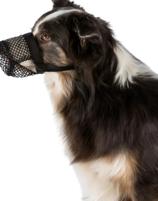 Trixie Koiranpentujen Tarvikkeet^-suojaverkko kuonolle, S, musta