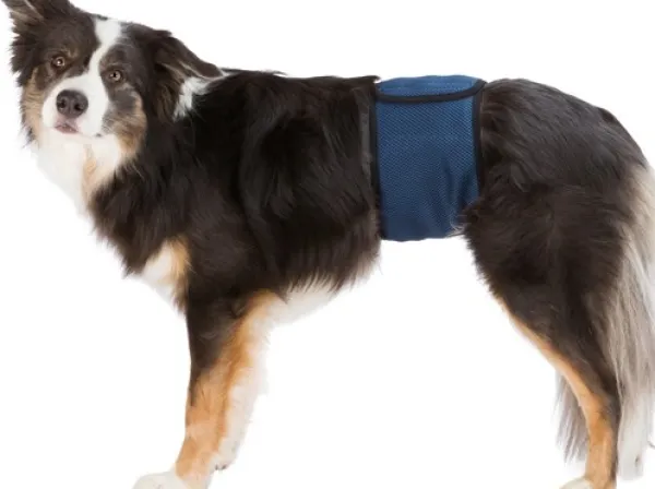 Trixie urosvyö, S - M, tummansininen| Haavojen Hoito