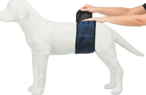 Trixie urosvyö, S - M, tummansininen| Haavojen Hoito