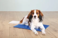 Trixie viilennysalusta 50 x 40cm| Koiranpedit