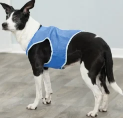 Trixie viilentävä liivi koirille, XS| Viilennys Ja Aurinkosuoja