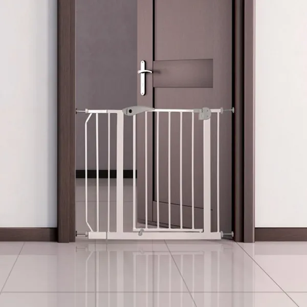 Trixie Koiraportit Ja Luukut^-koiraportin jatkopala