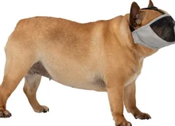 Trixie -kuonokoppa lyhytkuonoiselle koiralle, S-M| Kuonokopat