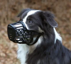 Trixie Kuonokopat^-kuonokoppa, M, 20 cm