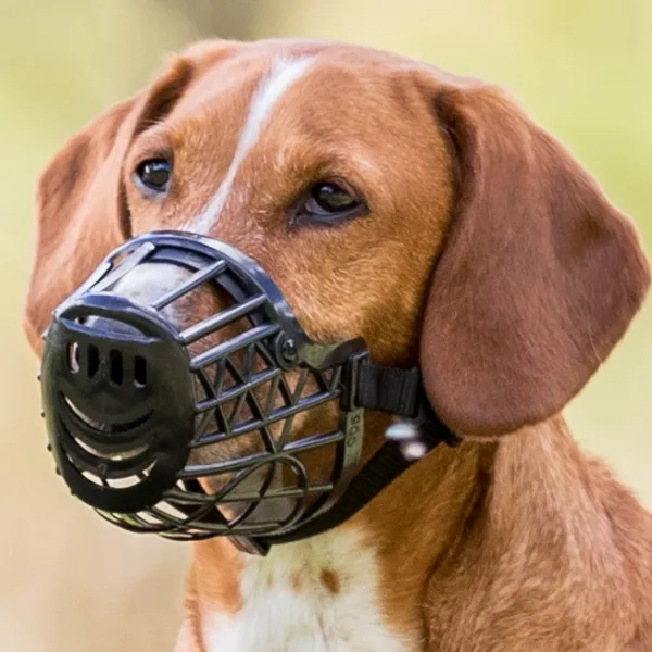 Trixie Kuonokopat^-kuonokoppa, XS