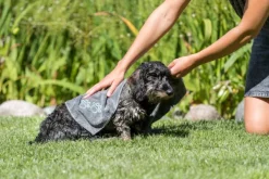 Trixie -mikrokuitupyyhe lemmikille, 50 x 60 cm| Turkinhoito