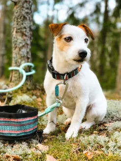 Woolly Wolf Collar koiran kaulapanta, 25 - 35 cm, Woodland| Kaulapannat