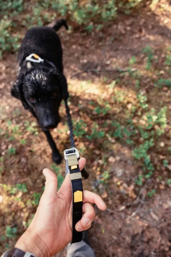 Woolly Wolf Taluttimet^Roam Adjustable Leash monitoimihihna, musta