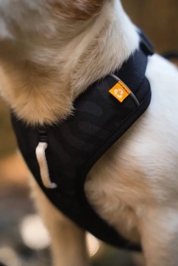 Woolly Wolf Valjaat^Roam Harness koirien valjaat, L, musta