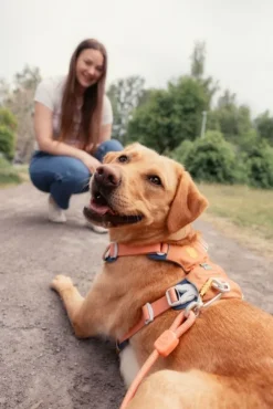 Woolly Wolf Taluttimet^Rope Leash köysihihna, 10 mm, oranssi