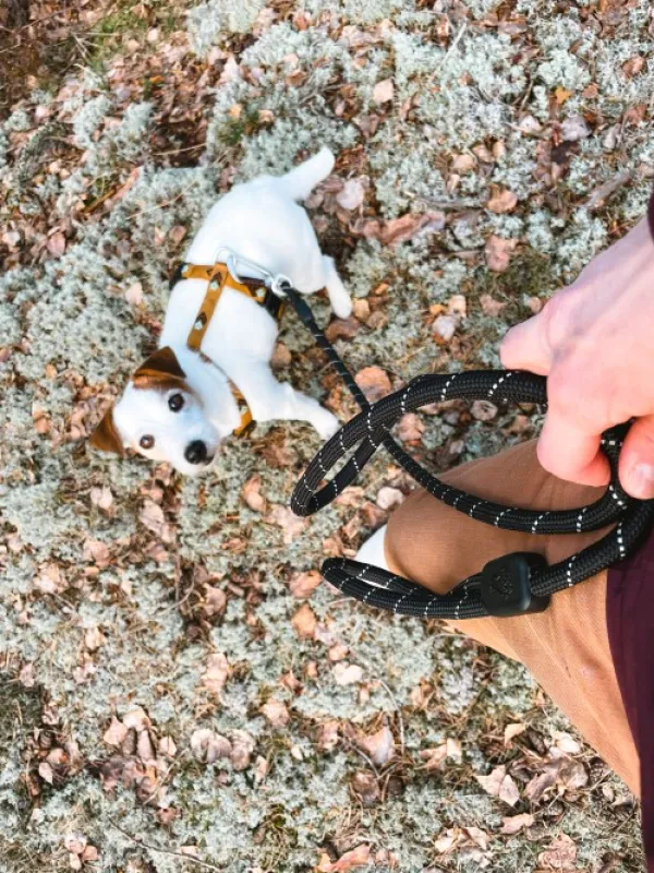 Woolly Wolf Taluttimet^Rope Leash köysitalutin, Raven Black