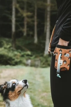 Woolly Wolf Makupalat^Snack Bag koiran makupalapussi, Sea to Summit